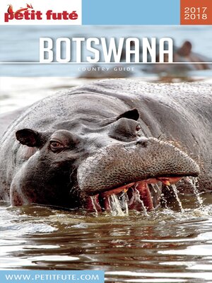 cover image of BOTSWANA 2017/2018 Petit Futé